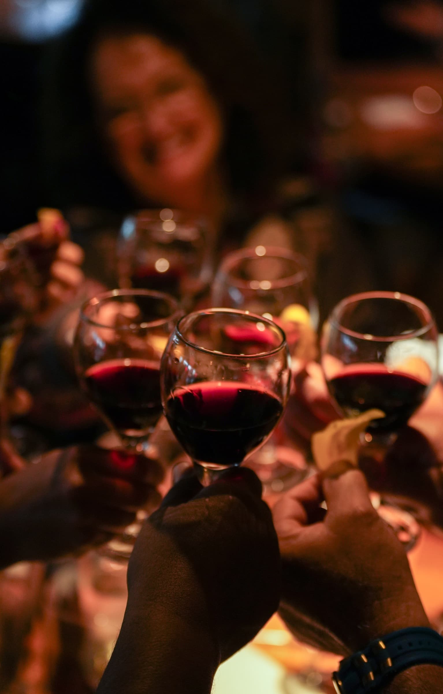 Guests raising their glasses in a toast over dinner
